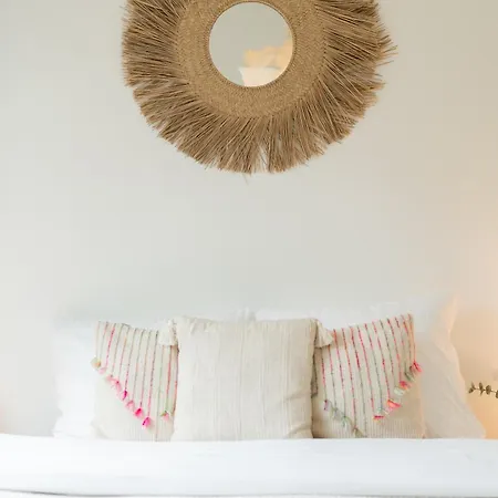 Apartment Plater Premium *
