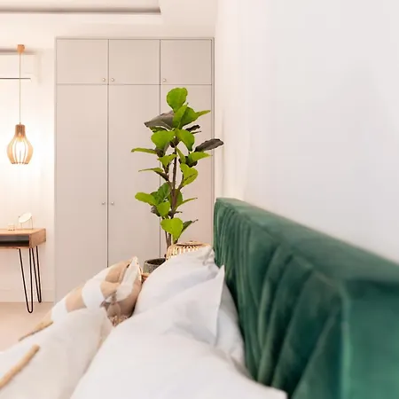 Apartment Plater Premium