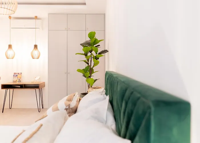 Apartment Plater Premium