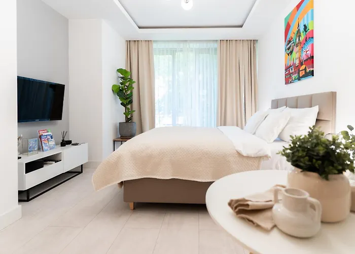 Apartment Plater Premium