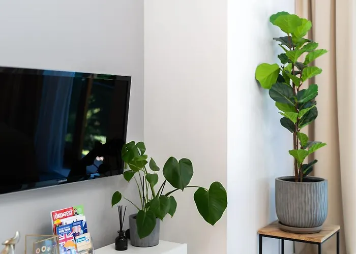 Apartment Plater Premium