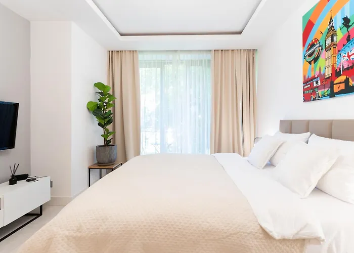 Apartment Plater Premium