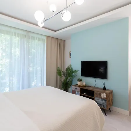 Plater Premium Varsavia